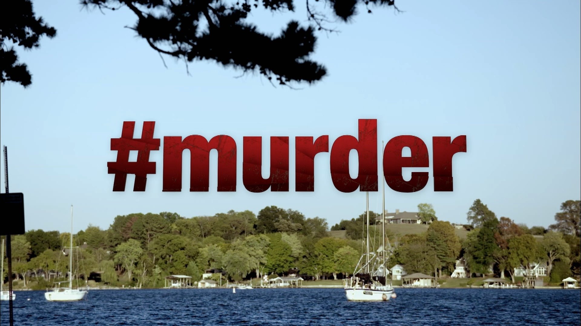 Backdrop for #Murder