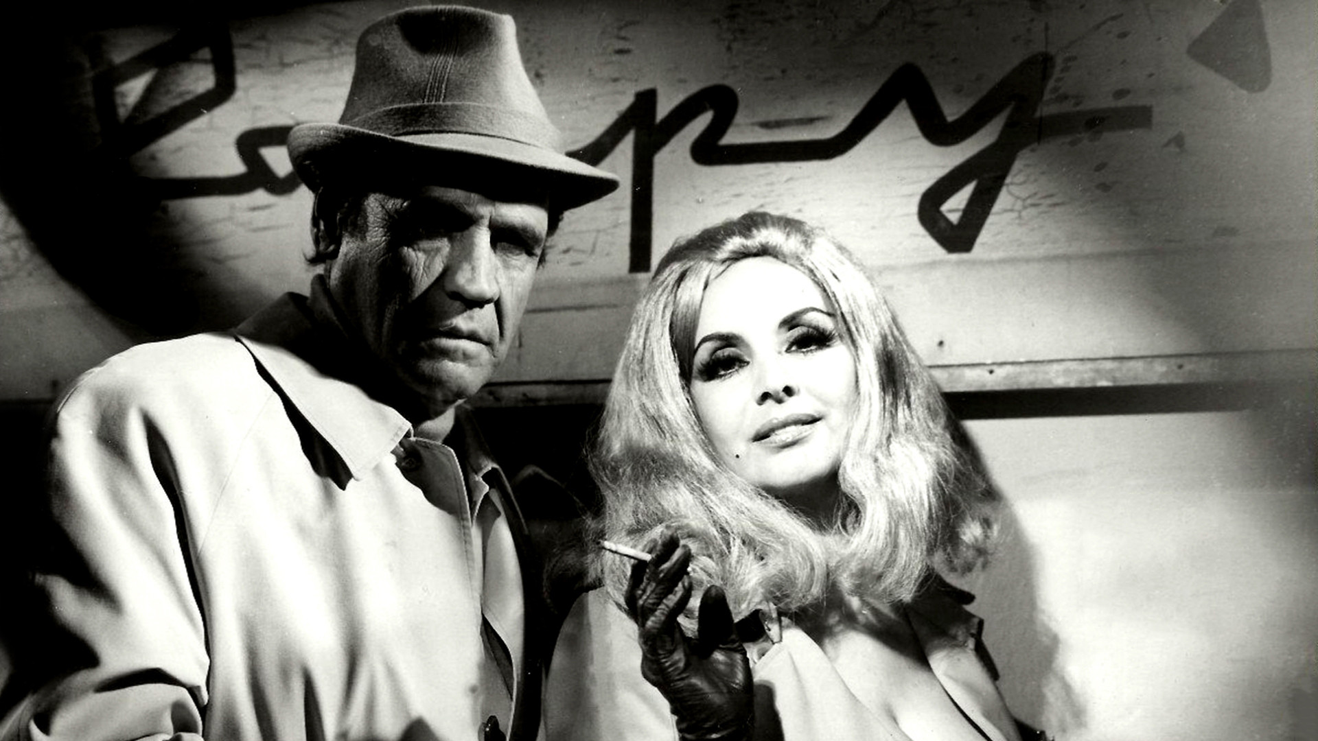 Backdrop for A Butterfly in the Night