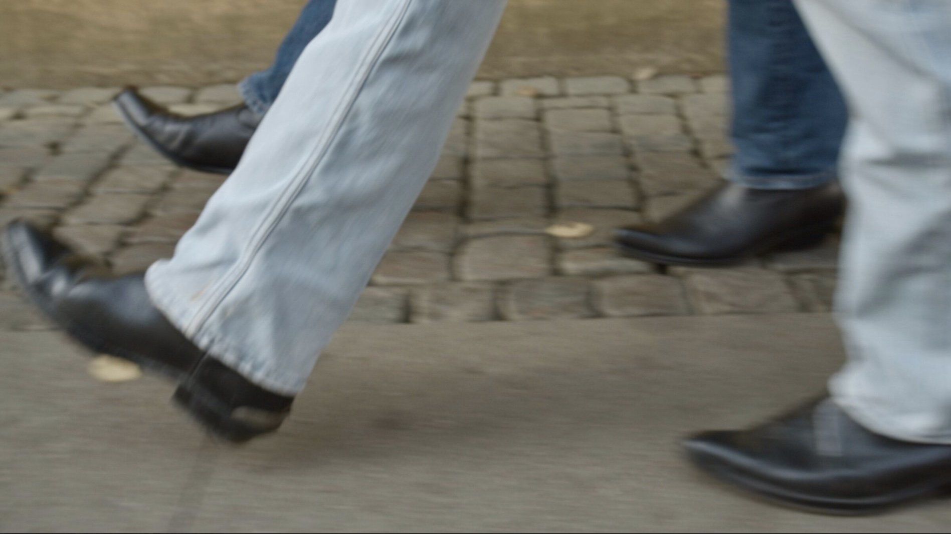 Backdrop for Being Seen Seeing