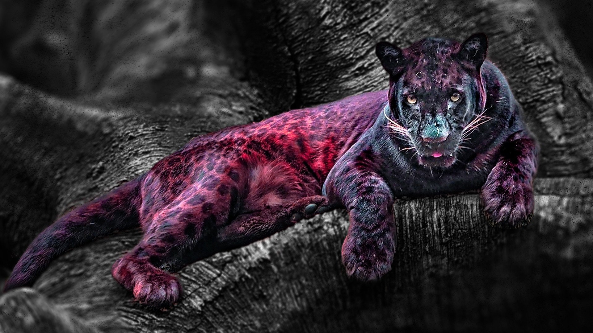 Backdrop for Fatal Attractions