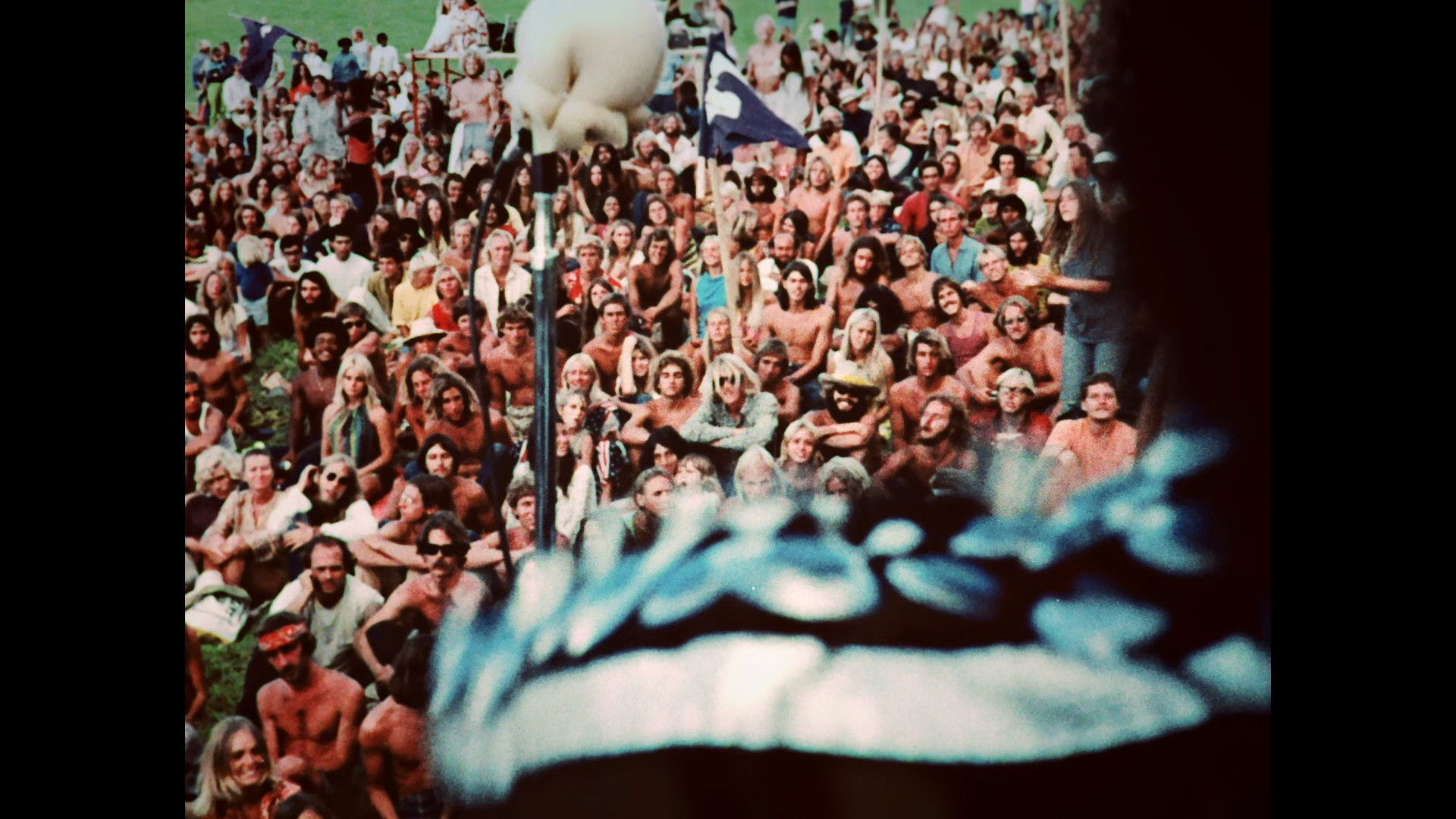 Backdrop for Jimi Hendrix Experience - Live in Maui