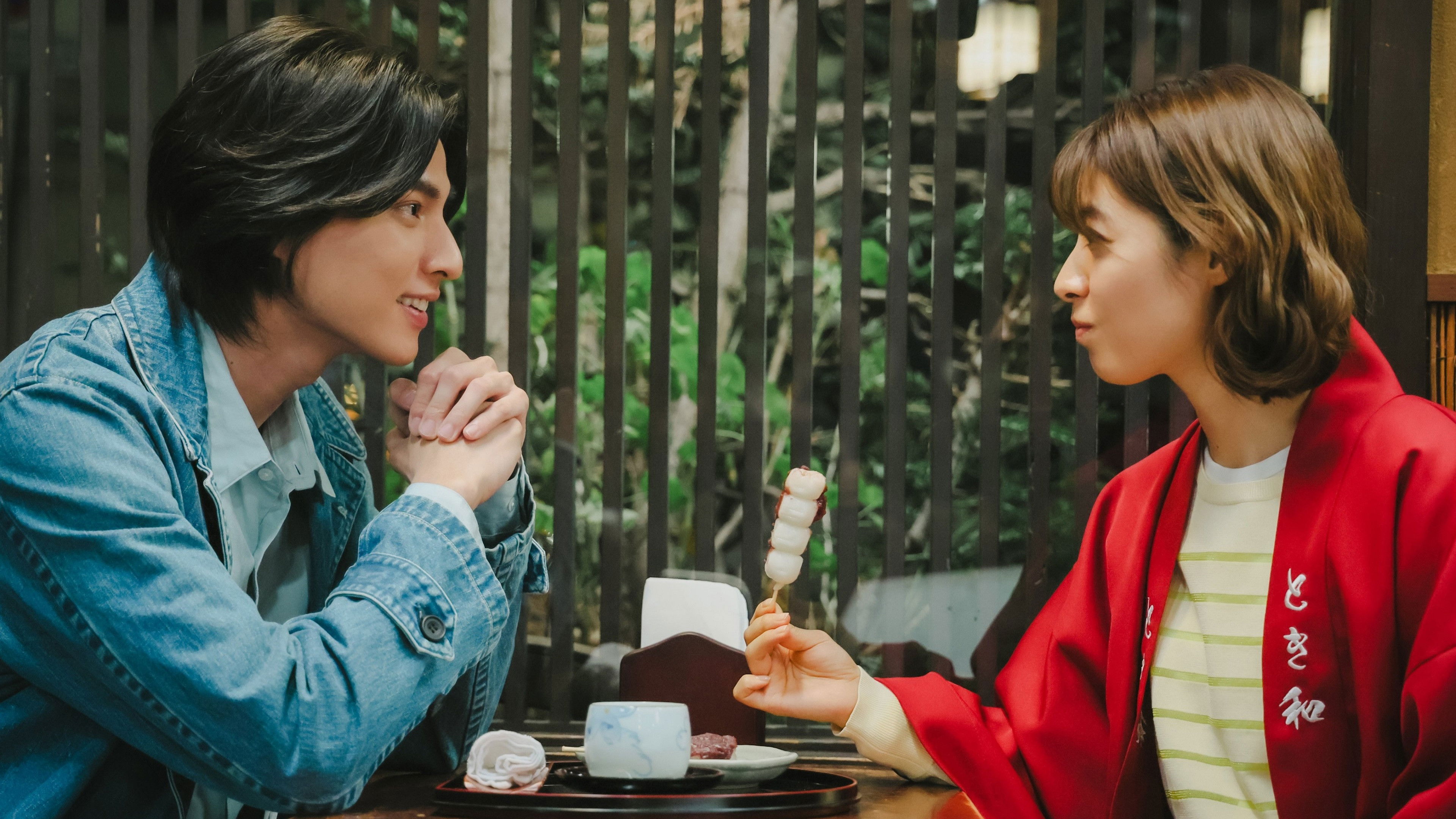 Backdrop for Tokyo Holiday