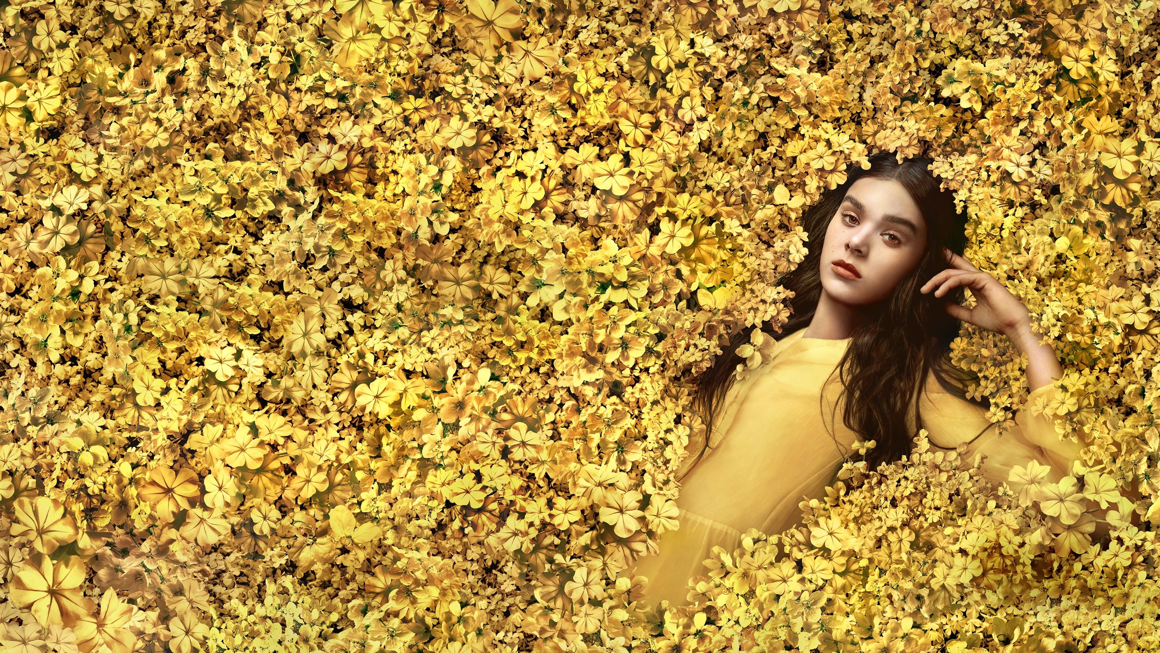 Backdrop for Voices & Visions: Emily Dickinson