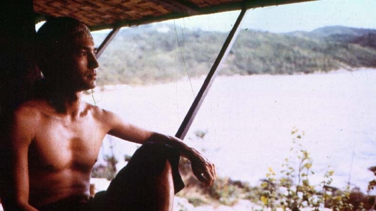 Backdrop for Shadows of the Peacock