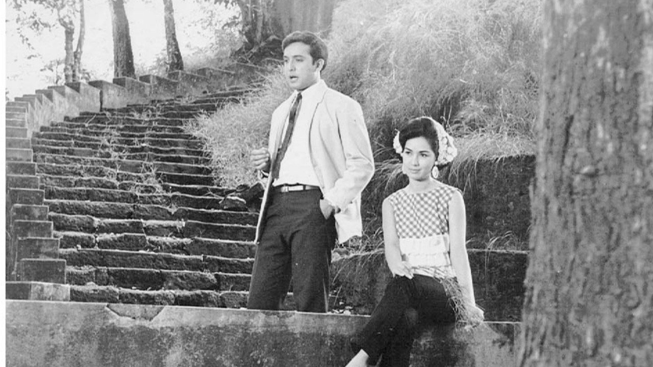 Backdrop for Dedicated to You