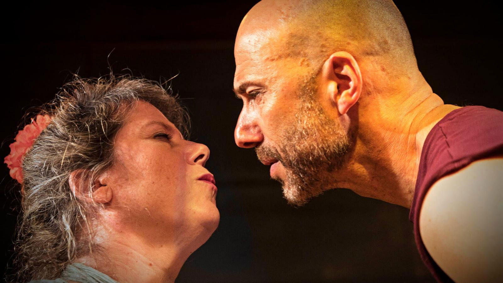 Backdrop for A horse walks into a bar