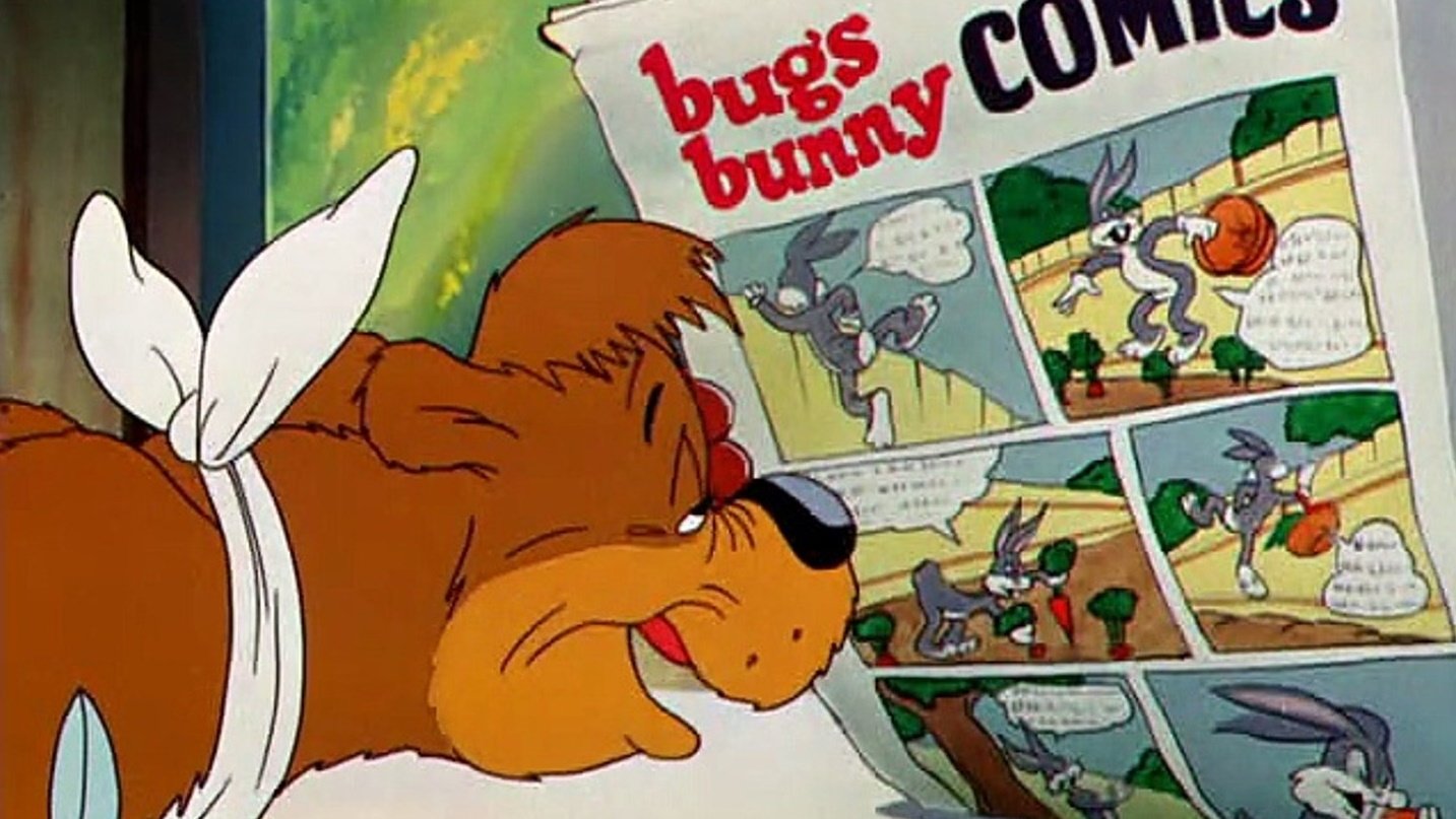 Backdrop for Bear Feat