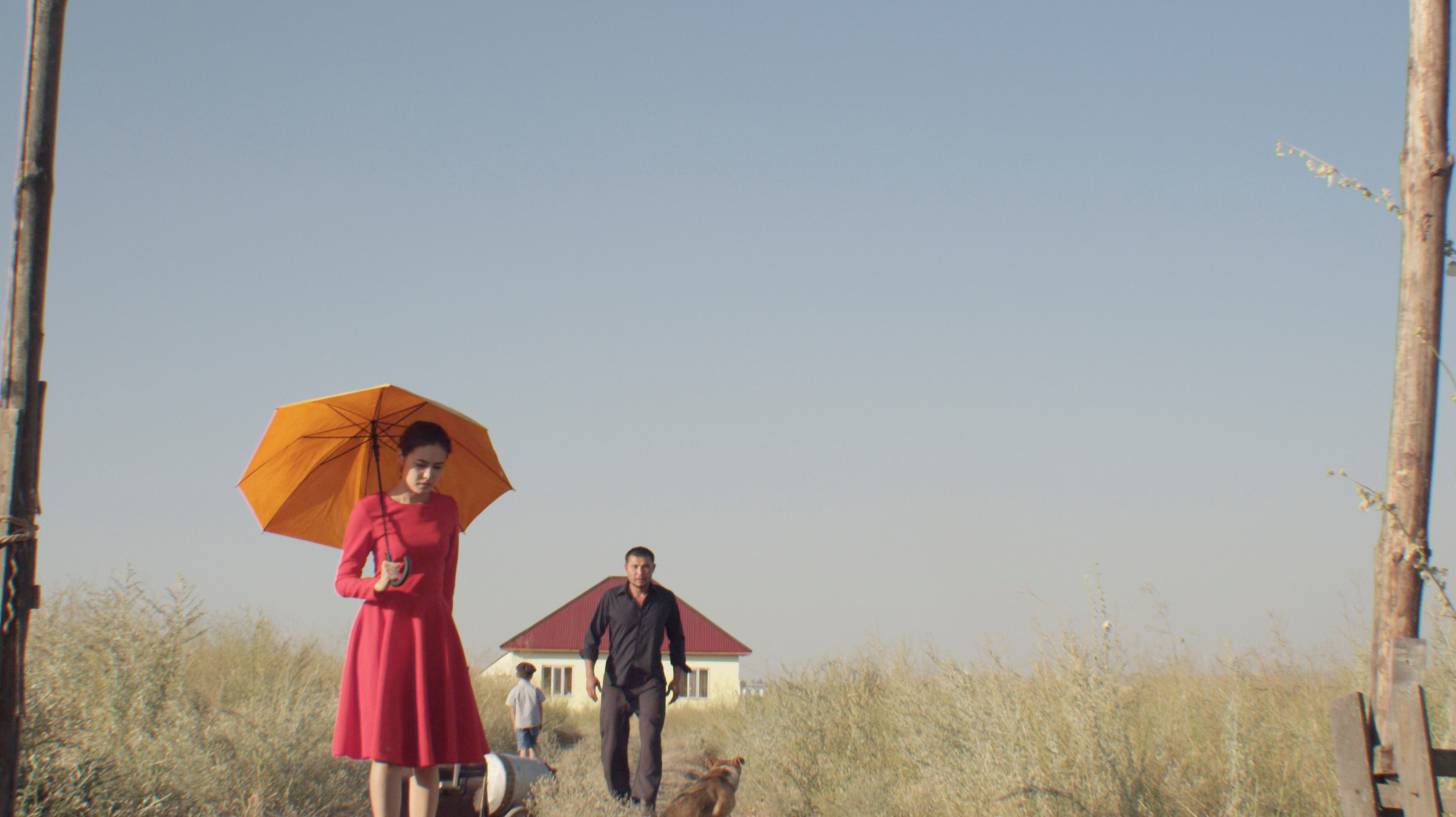 Backdrop for The Gentle Indifference of the World