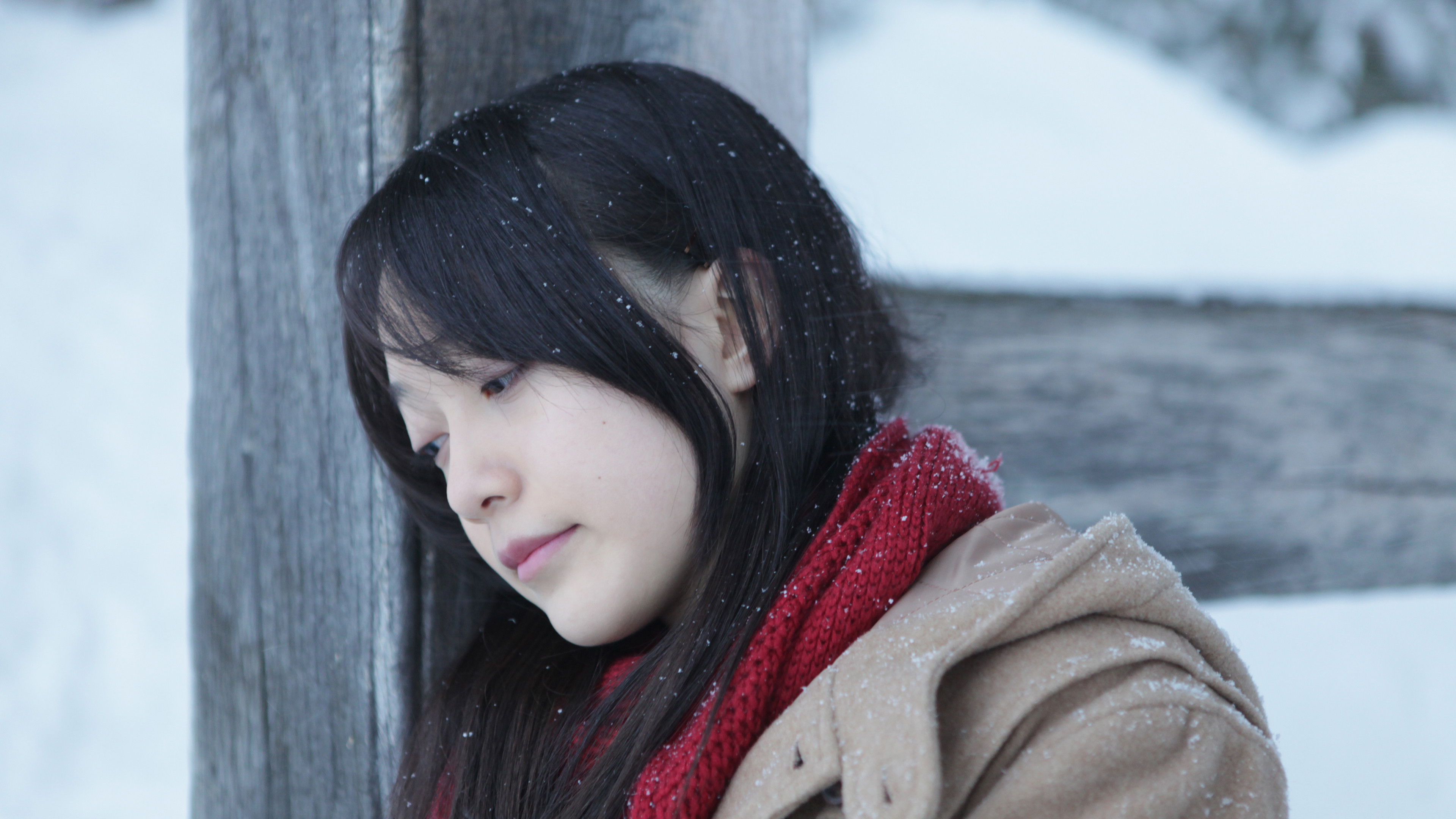 Backdrop for Last Fragments of Winter