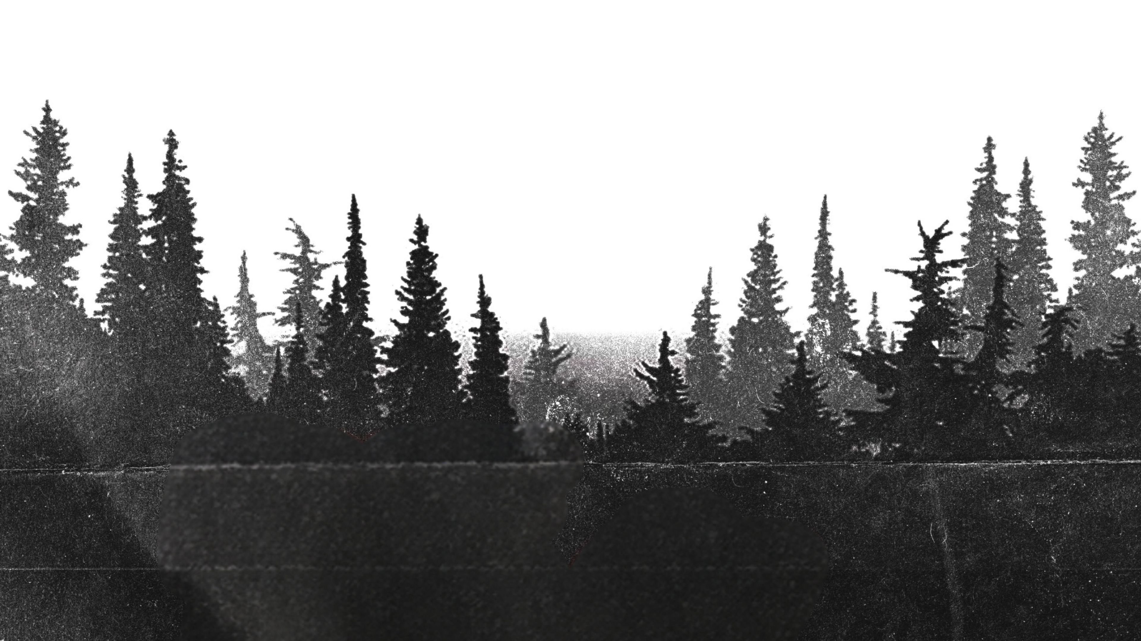 Backdrop for Night Shoot