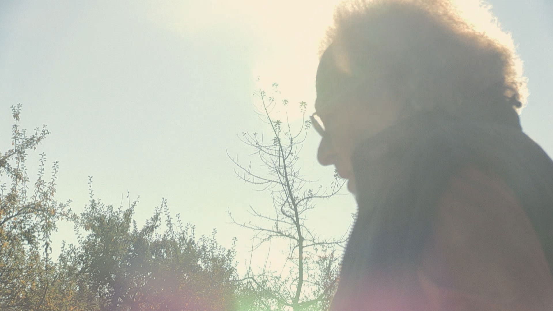 Backdrop for W. - What Remains of the Lie