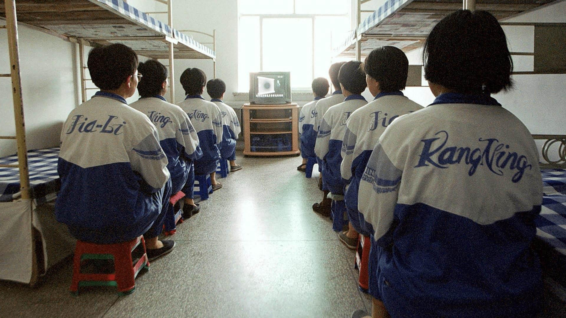 Backdrop for Laogai: Prison Nation - Inside China's Ruling System