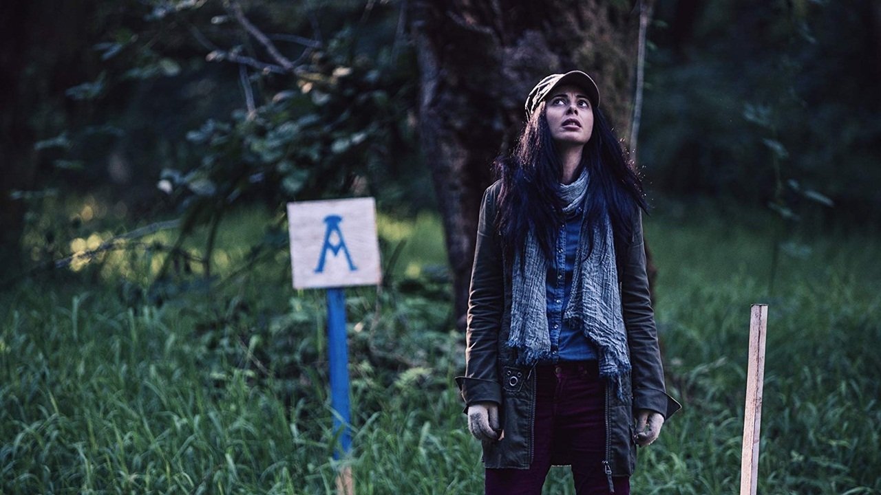 Backdrop for The Shasta Triangle