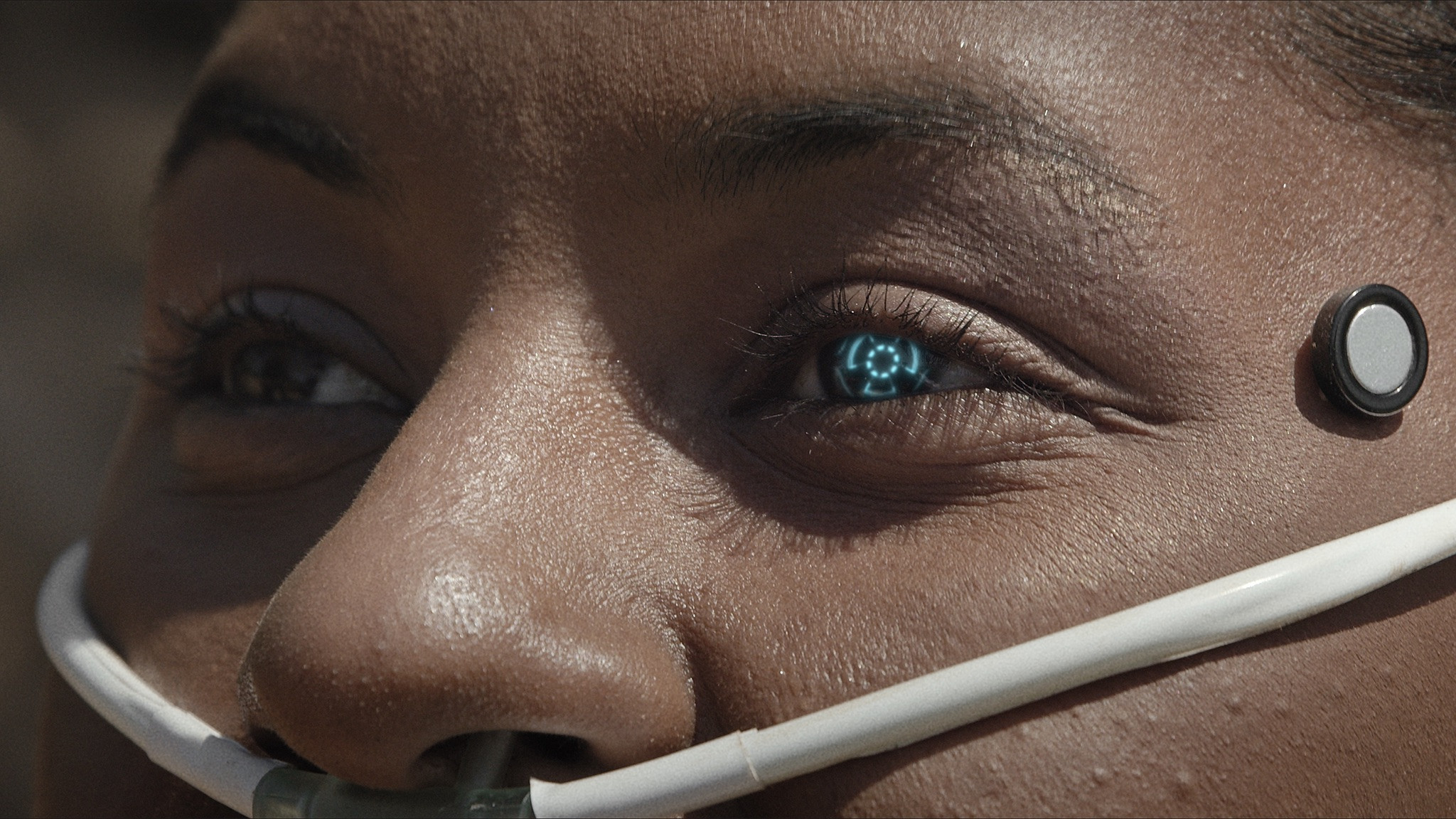 Backdrop for SERTÃO 2138