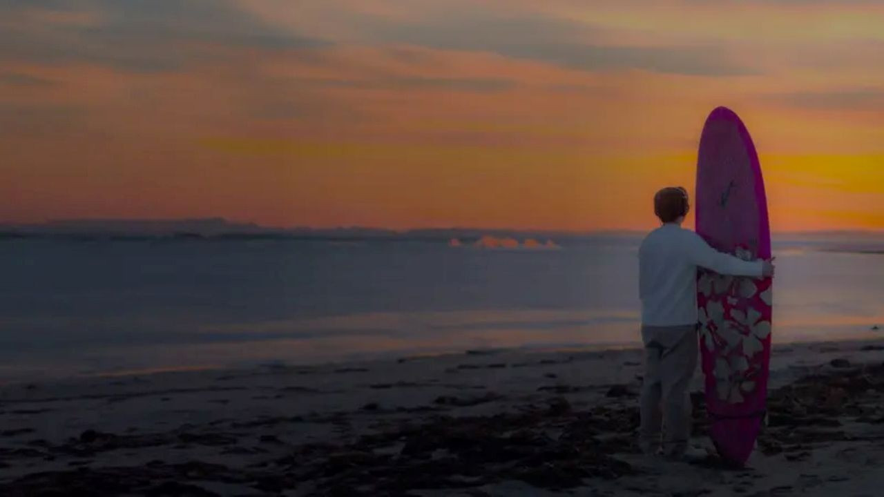 Backdrop for Web of Life