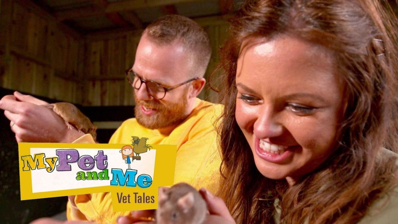 Backdrop for My Pet and Me Vet Tales