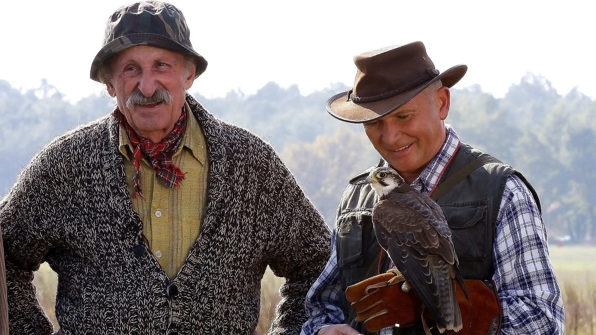 Backdrop for Hotel pod żyrafą i nosorożcem