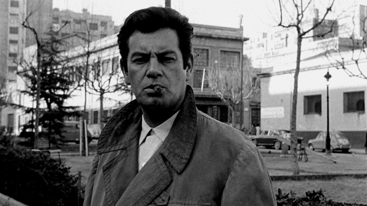 Backdrop for A Clean Shot