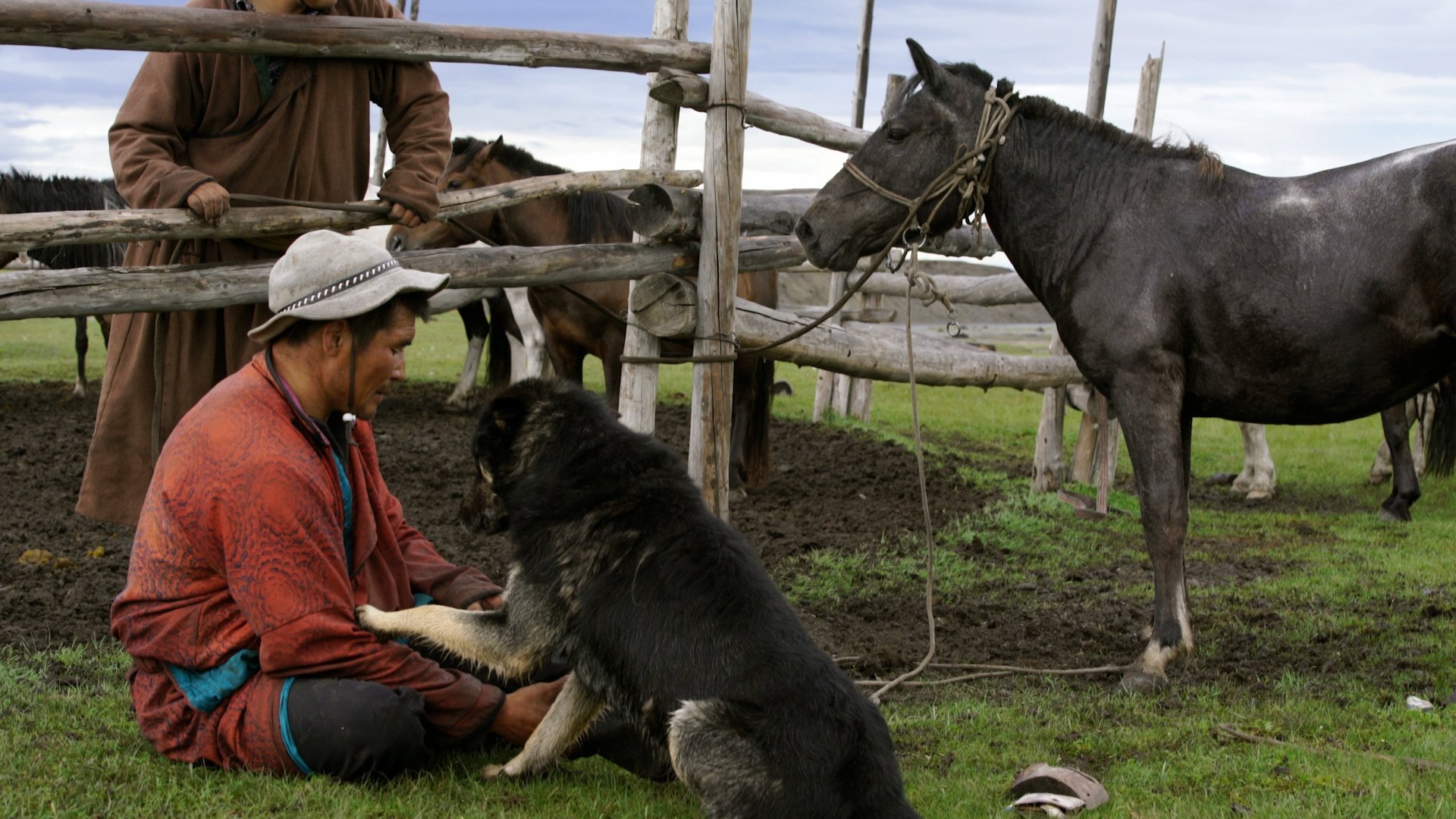 Backdrop for The Bounty Hunter of Mongolia