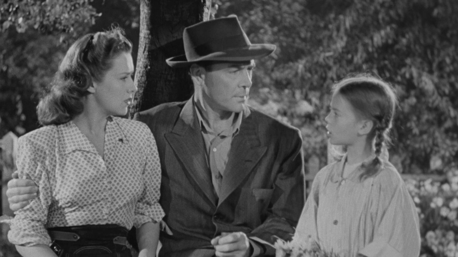 Backdrop for Driftwood