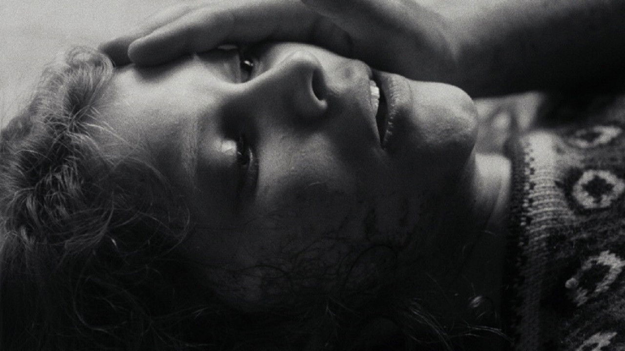 Backdrop for Autumn Harvest