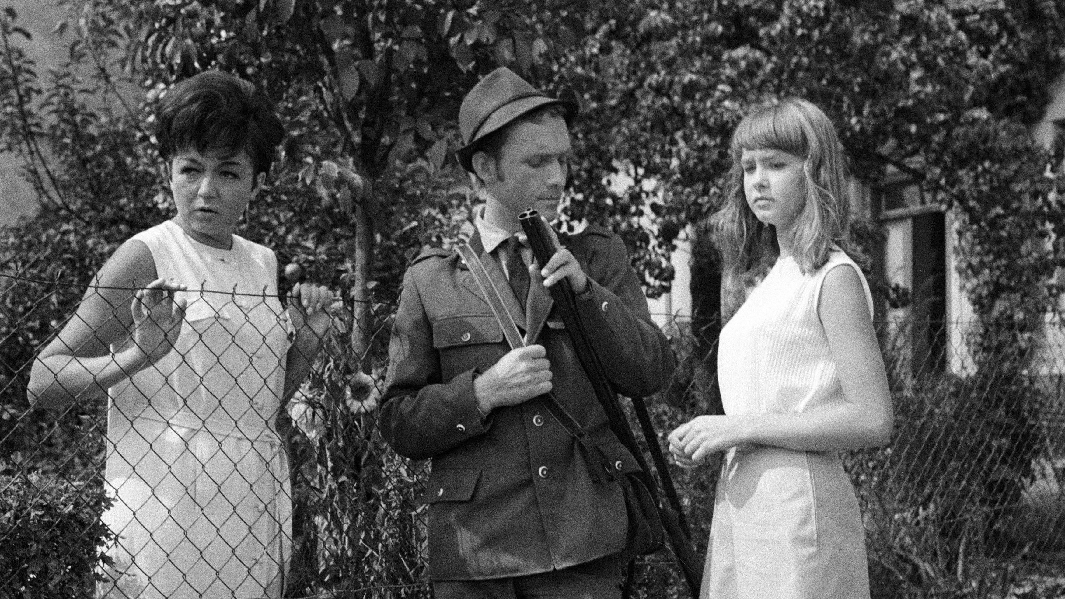 Backdrop for The End of Summer