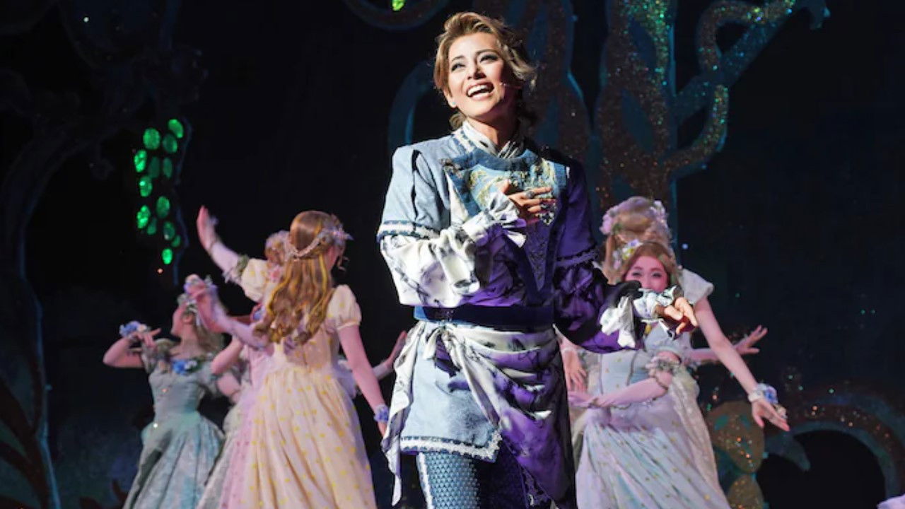 Backdrop for Robin the Hero