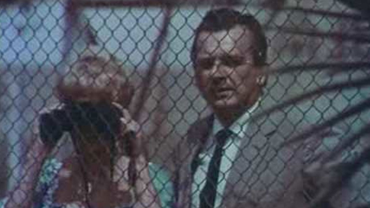 Backdrop for The Magnificent Tony Carrera