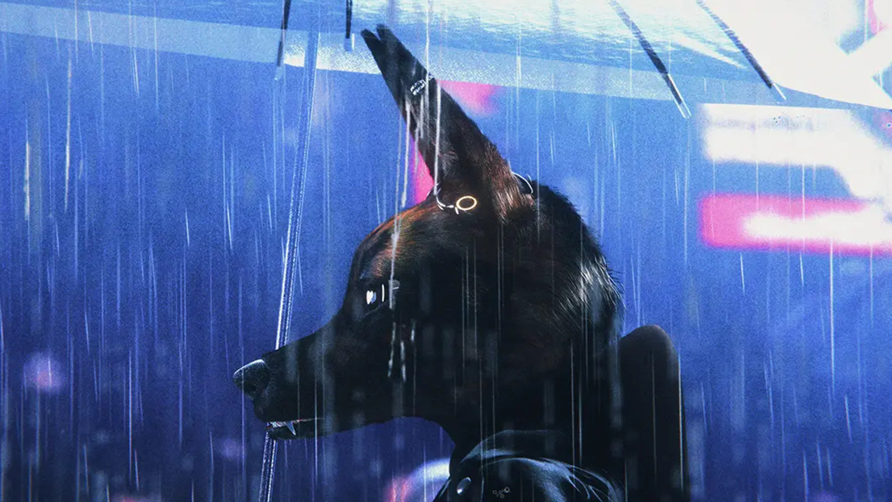 Backdrop for Bouchra