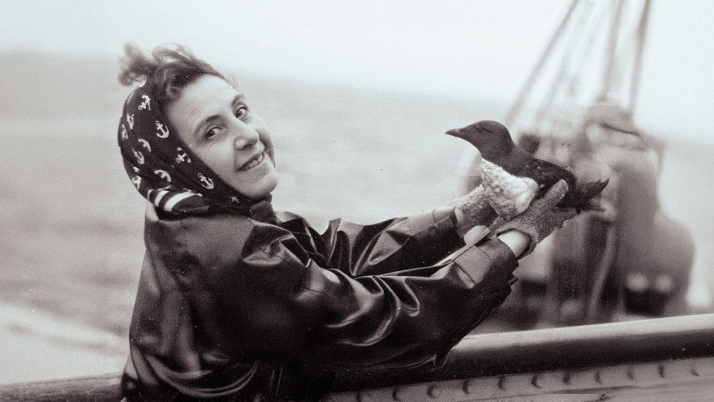 Backdrop for Anita Conti, l'appel du large