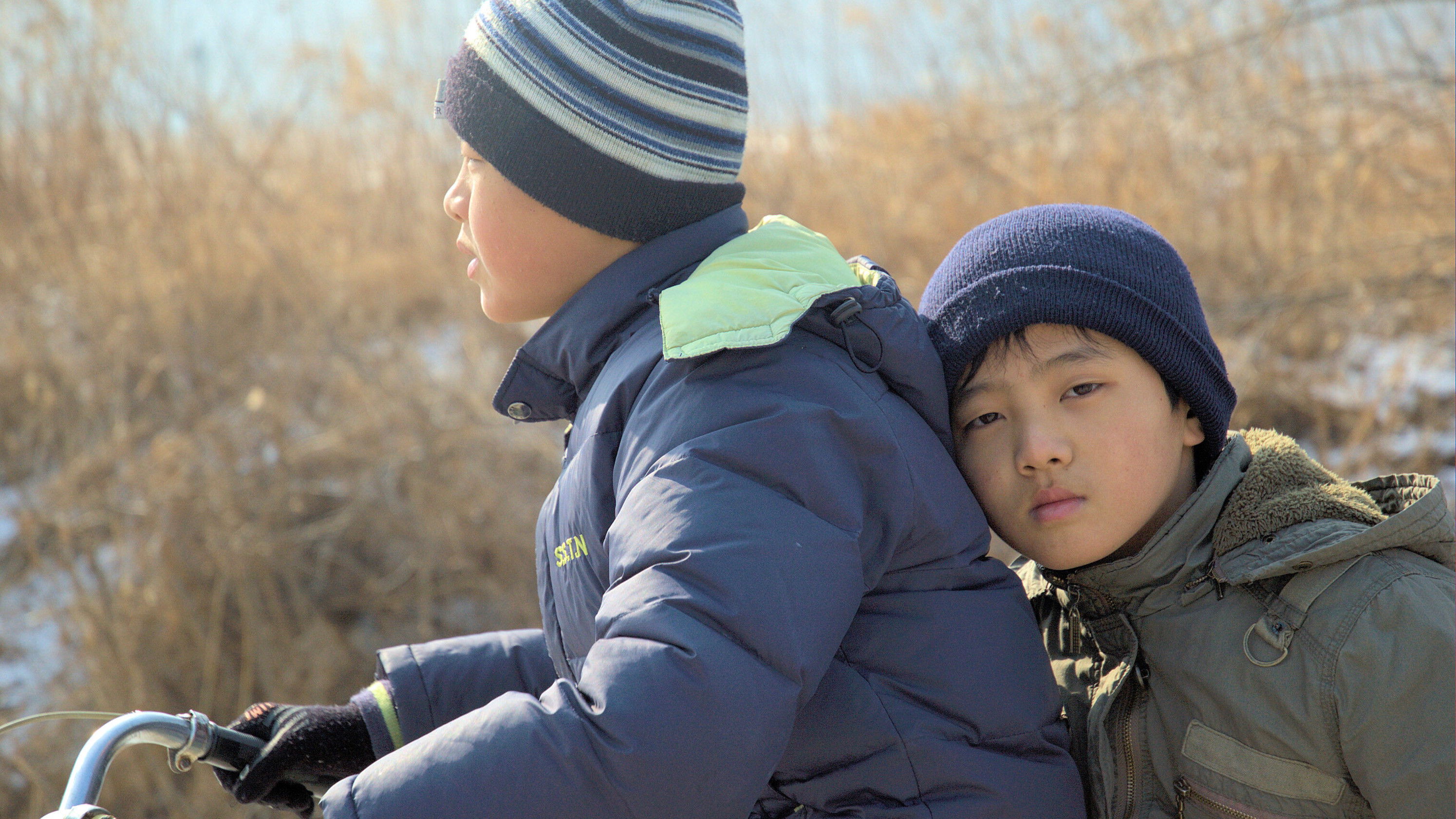 Backdrop for Dooman River
