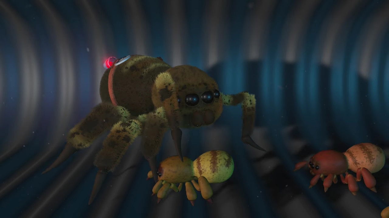 Backdrop for The One