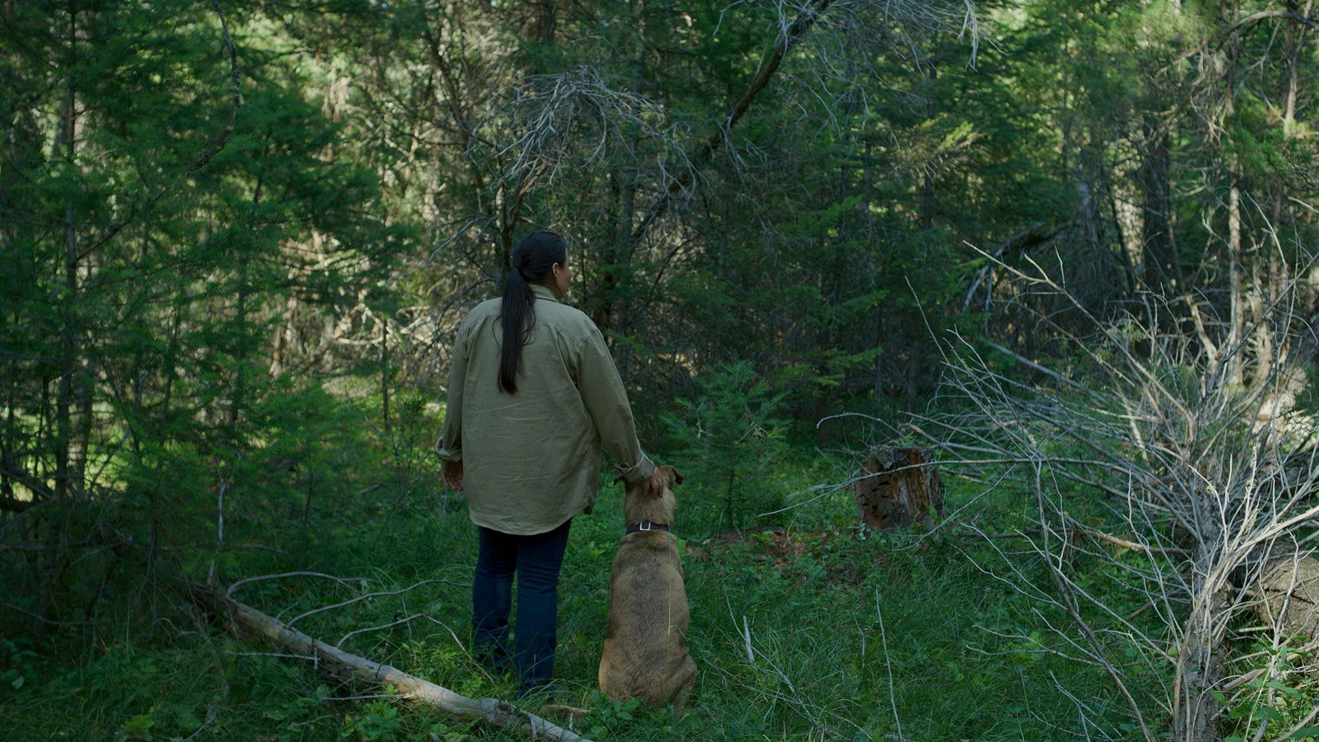 Backdrop for Bitterroot