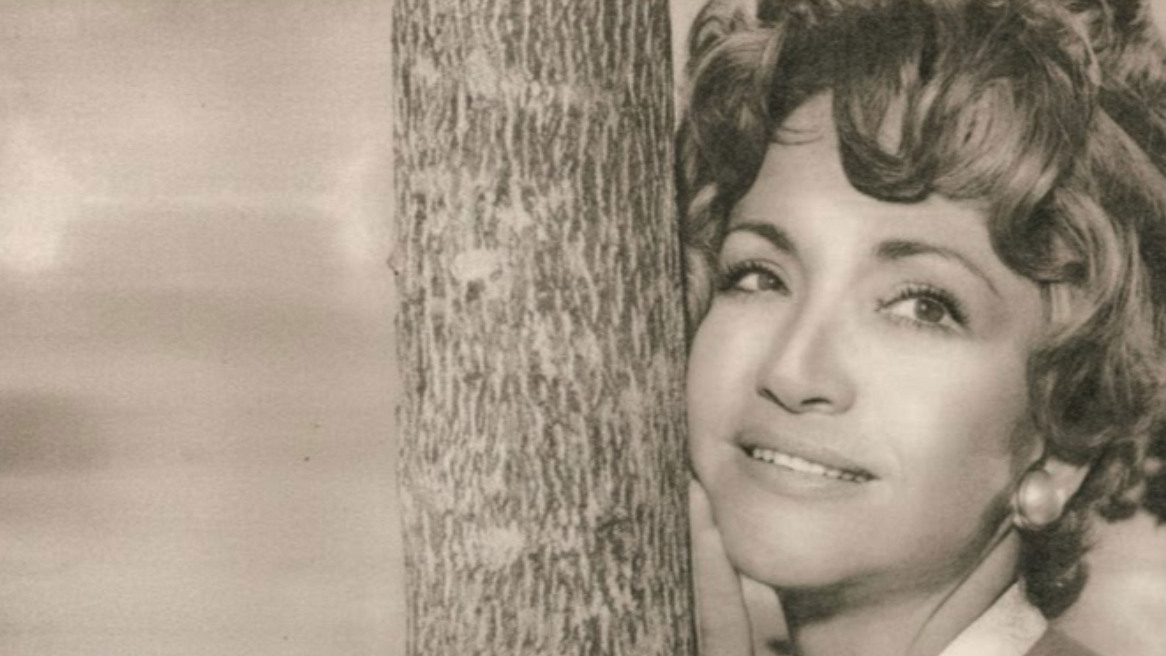 Backdrop for Quero Viver