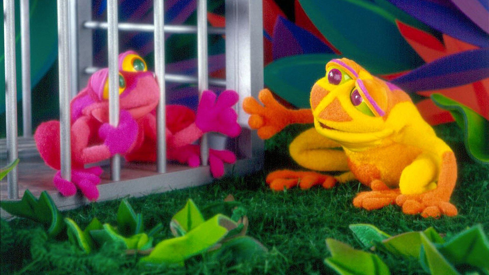 Backdrop for The Song of the Cloud Forest