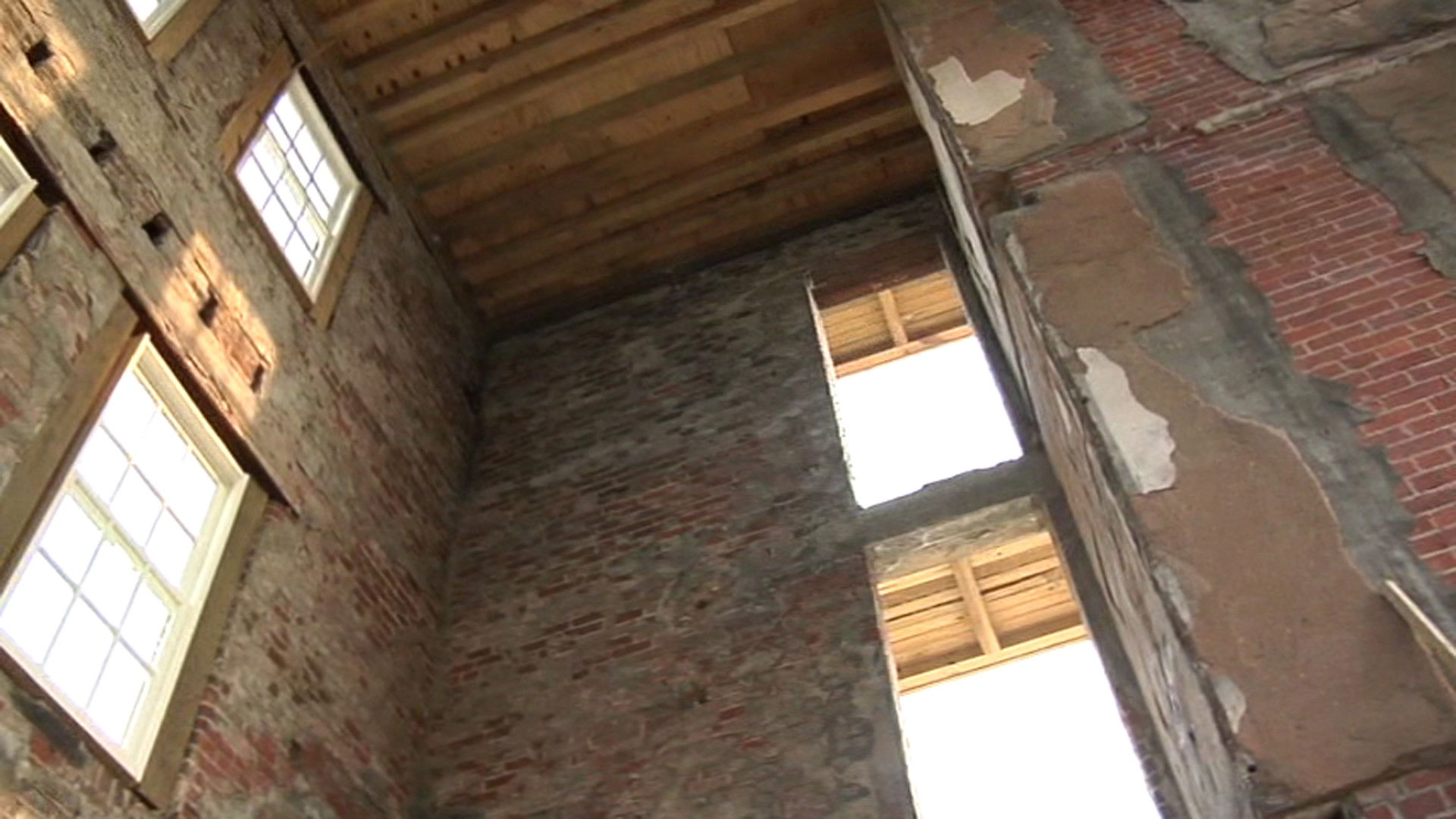 Backdrop for Resurrecting Moton Field: The Birthplace of the Tuskegee Airmen