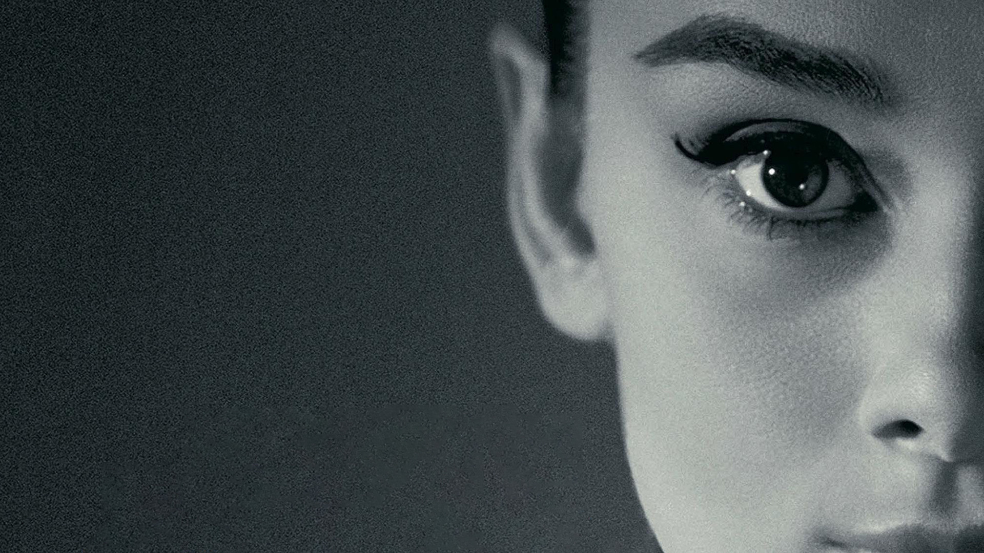 Backdrop for Cameraman: The Life and Work of Jack Cardiff