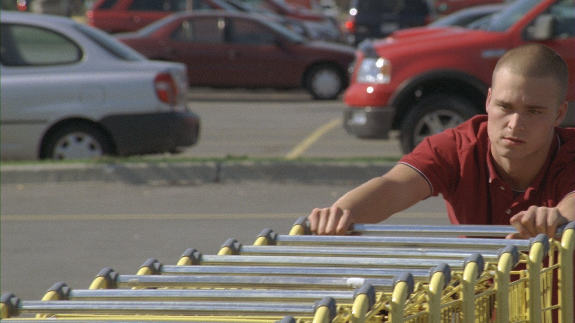 Backdrop for Life Begins