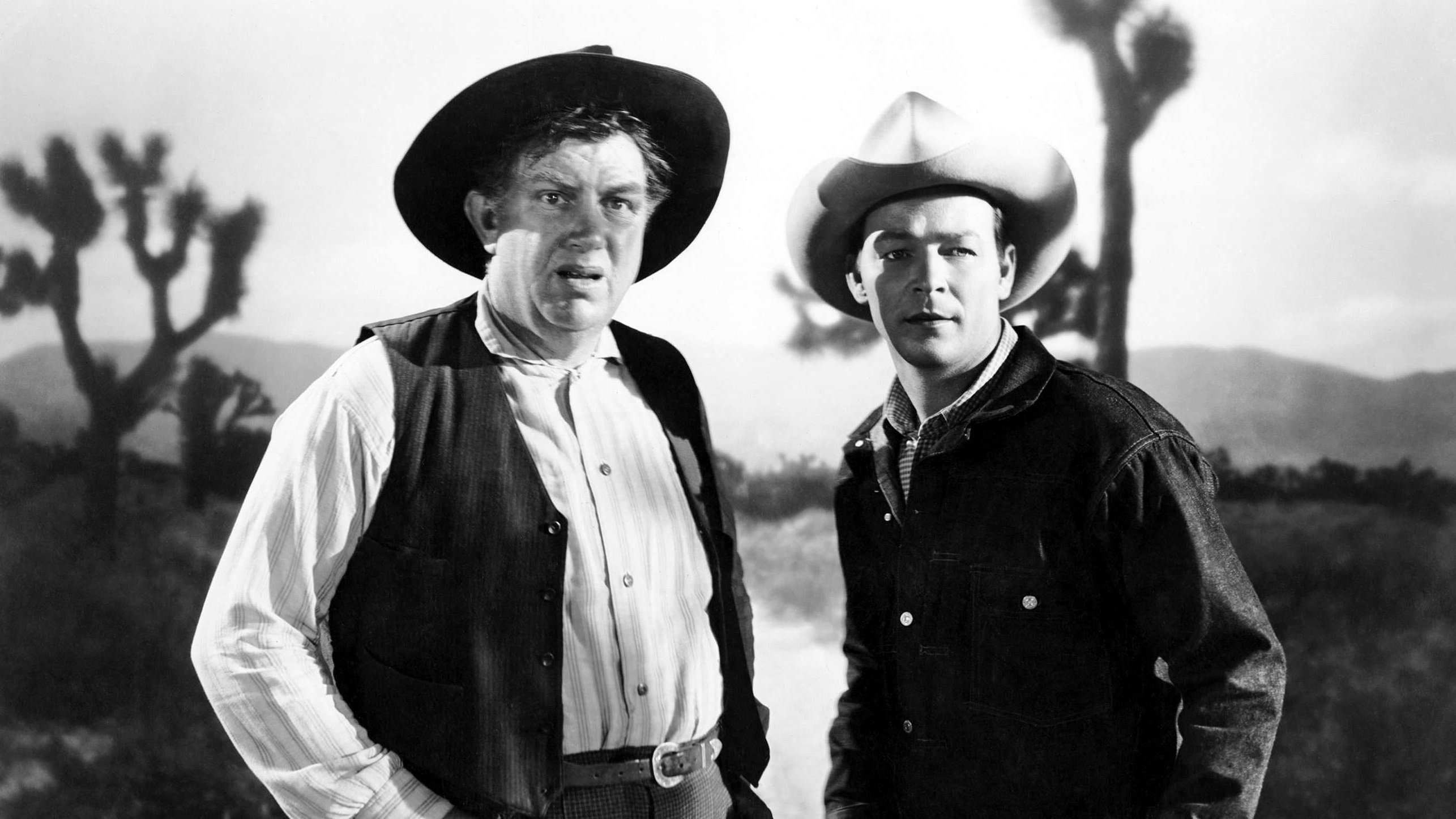 Backdrop for Night Time in Nevada