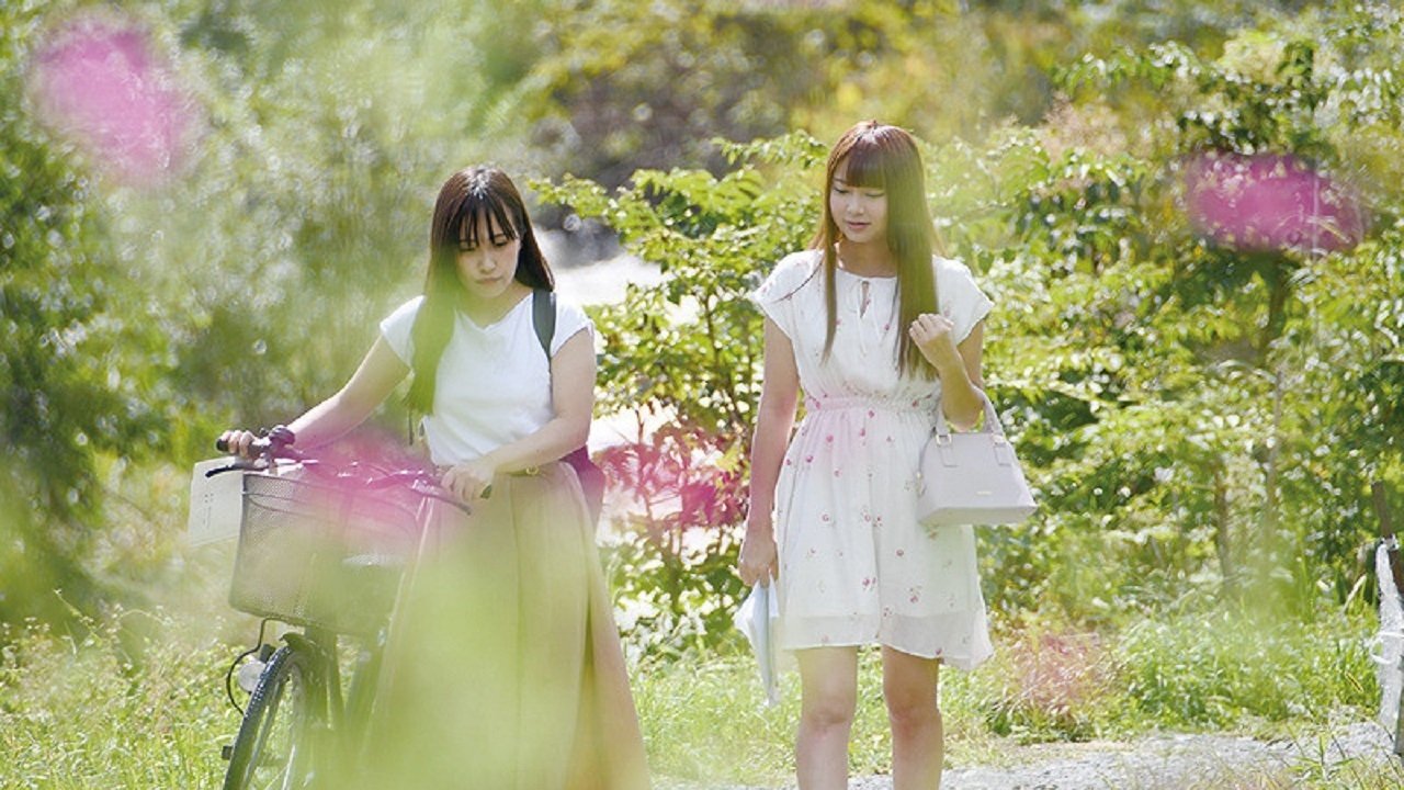 Backdrop for Adult Classmates, and First Love