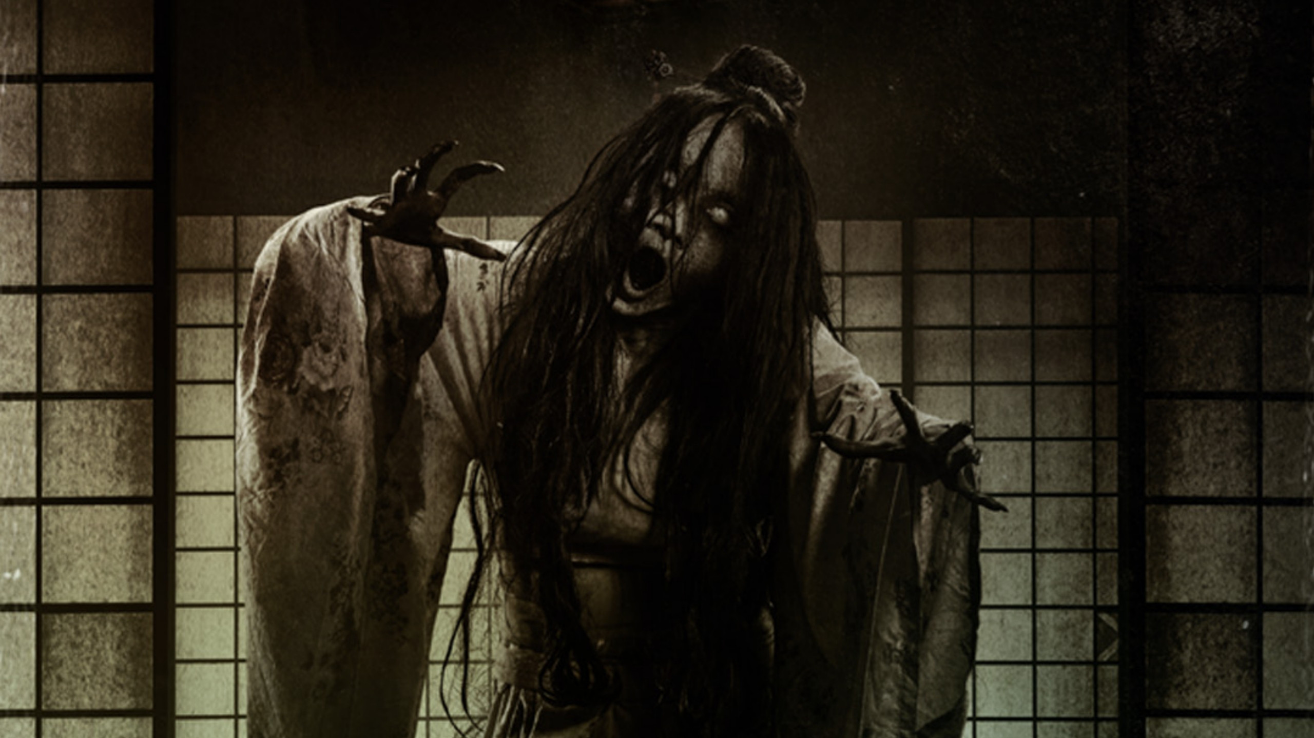 Backdrop for Hotel Sakura