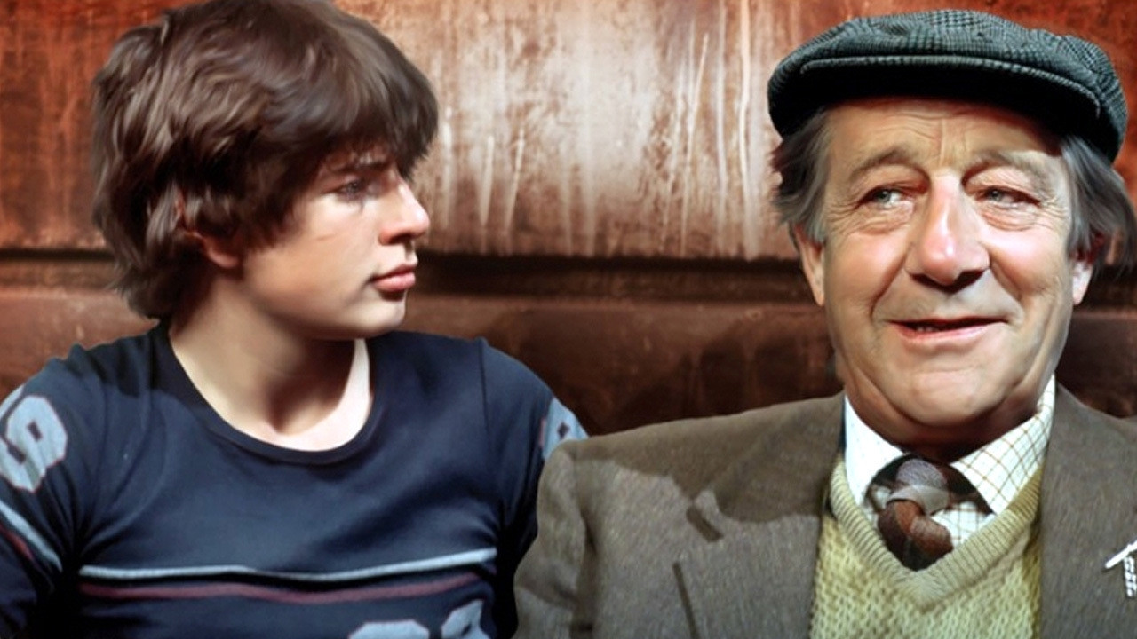 Backdrop for Spring And Autumn