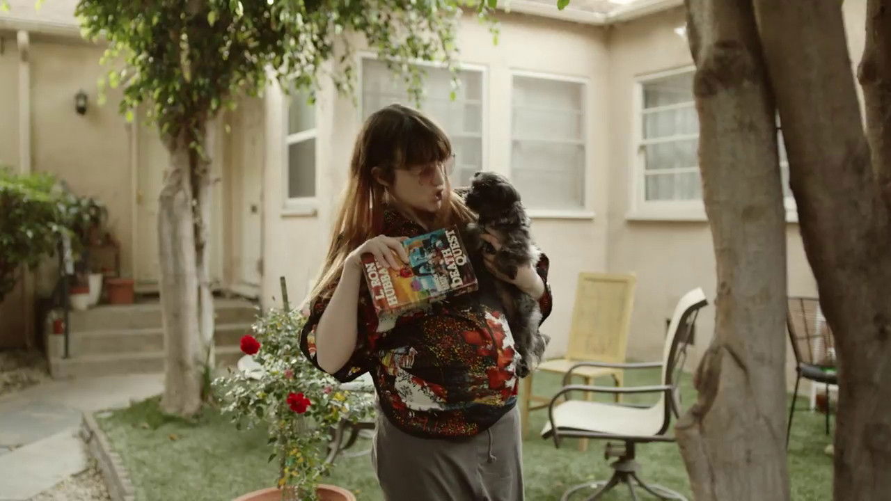 Backdrop for That Dog