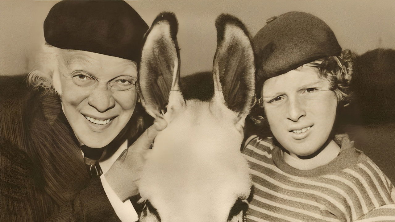 Backdrop for O Velho, o Menino e o Burro