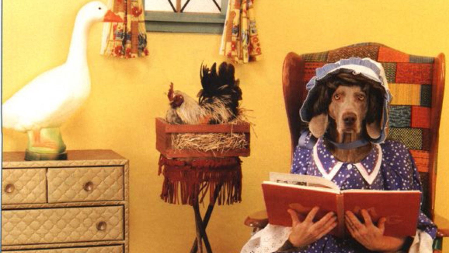 Backdrop for William Wegman's Mother Goose