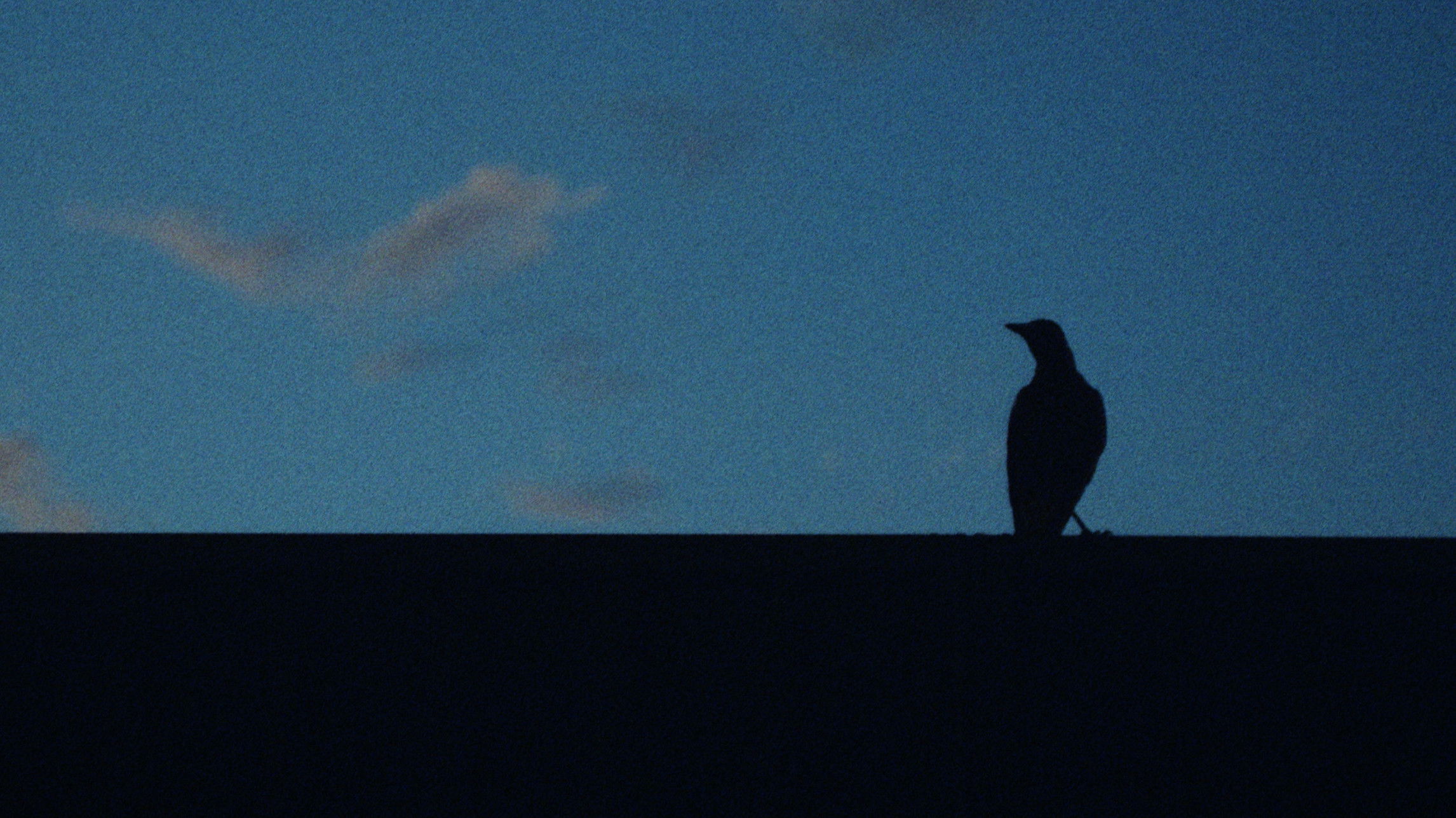 Backdrop for A Sign of Things