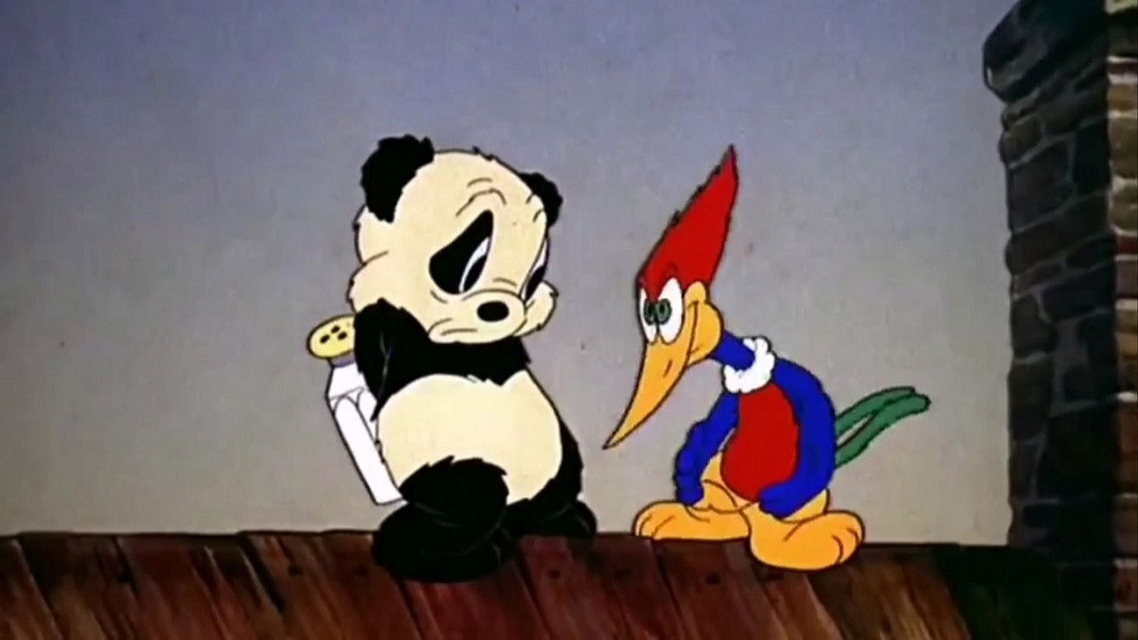 Backdrop for Knock Knock