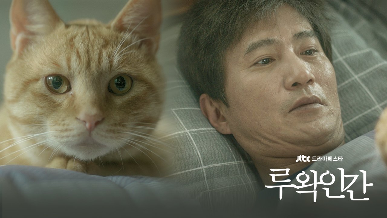 Backdrop for Human Luwak