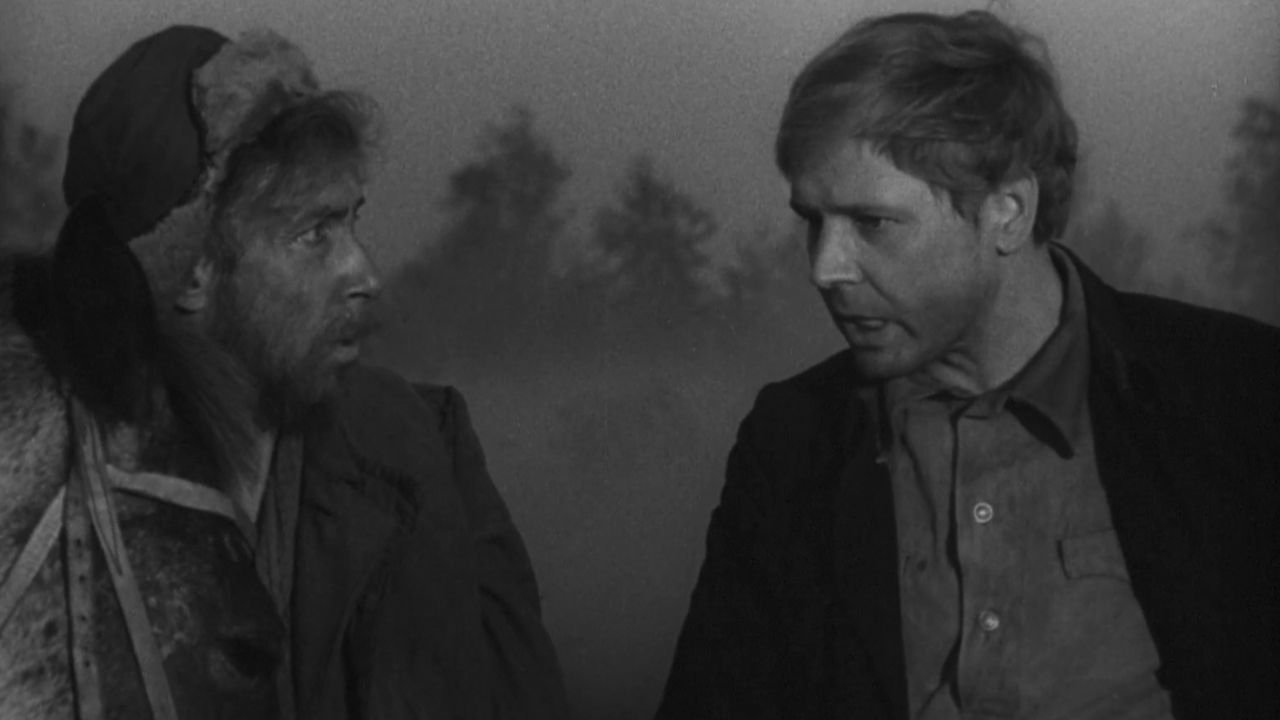 Backdrop for Wolves Pack