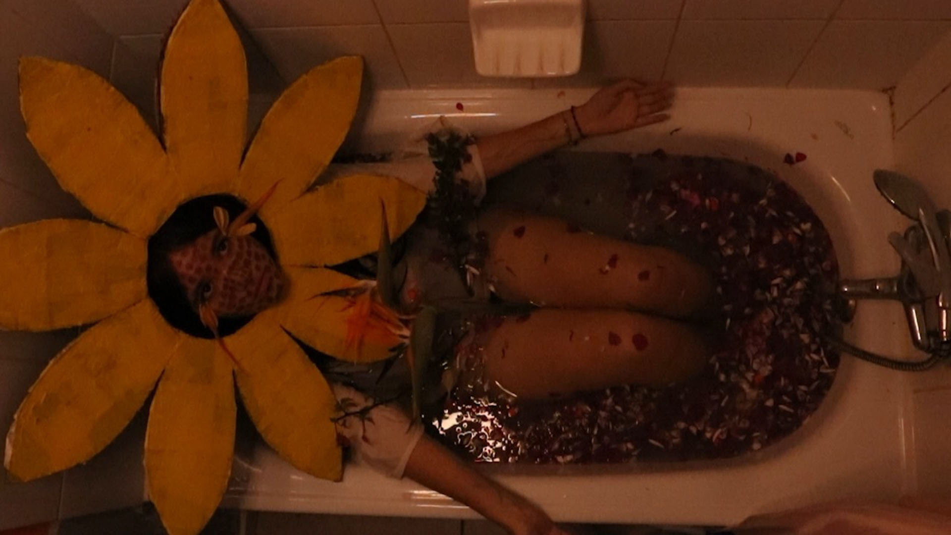 Backdrop for te de girasol